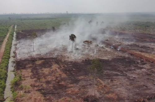 Karhutla Empat Hektare di Bengkalis, Dua Orang Ditetapkan sebagai Tersangka