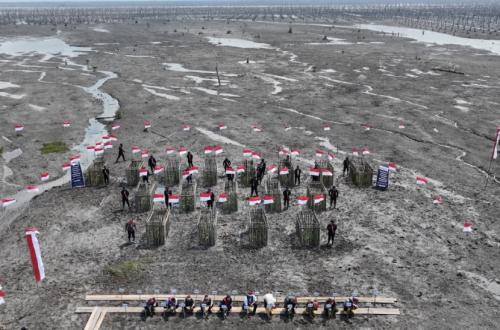 Pesisir Inhil Tergerus Abrasi, Rehabilitasi 500 Hektare Mangrove Disiapkan