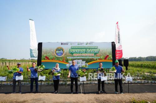 Petrokimia Gresik Dorong Produktivitas Cabai Rawit, Panen Naik 15 Persen