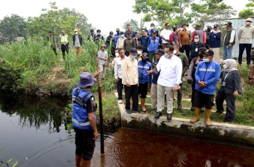 Atasi Karhutla, Wamen LH Minta Swasta Bangun Sekat Kanal