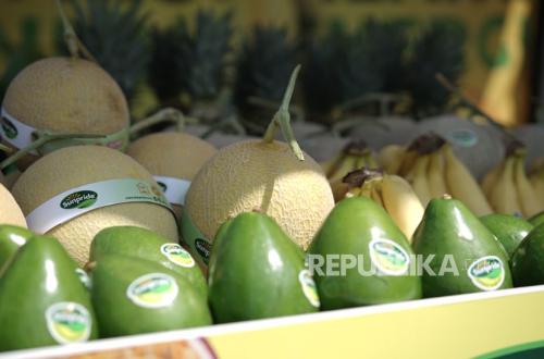 Melon Petani Blitar Tembus Singapura, Dorong Daya Saing Hortikultura Indonesia