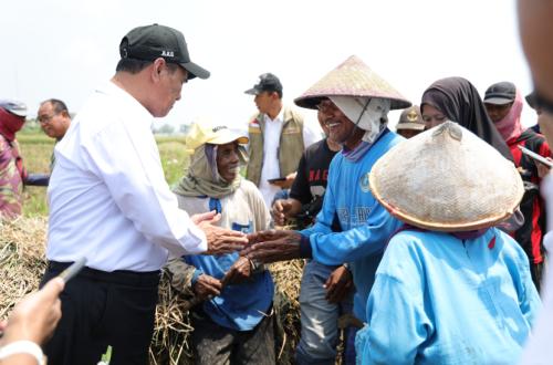 Dari Pertemuan di Sawah, Mentan Beri Bantuan Alsintan untuk Buruh Tani