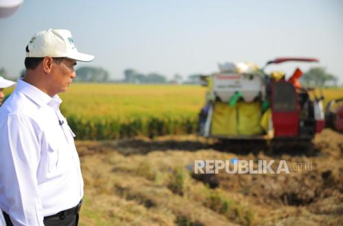 Indonesia's rice production rose in early 2026