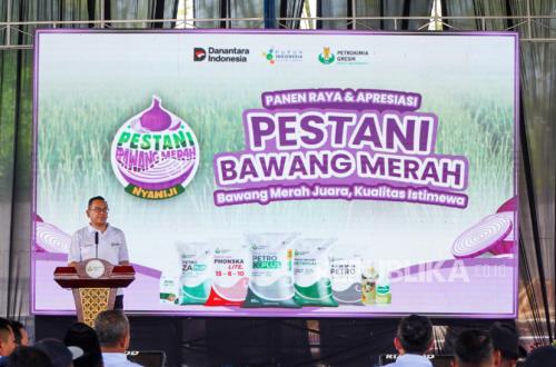 Nganjuk farmers boost shallot yields to 20 tons per hectare