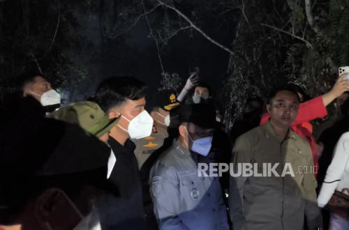 Lihat Langsung Dampak Karhutla, Kunjungan Wapres ke Pusat Rehabilitasi Orangutan Dinilai Penting
