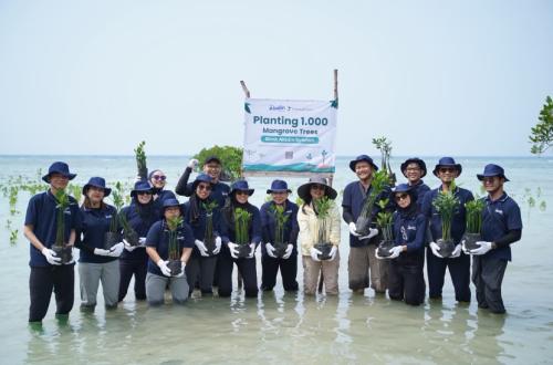 Pesisir Pulau Pari Hadapi Ancaman Abrasi, 1.000 Mangrove Ditanam