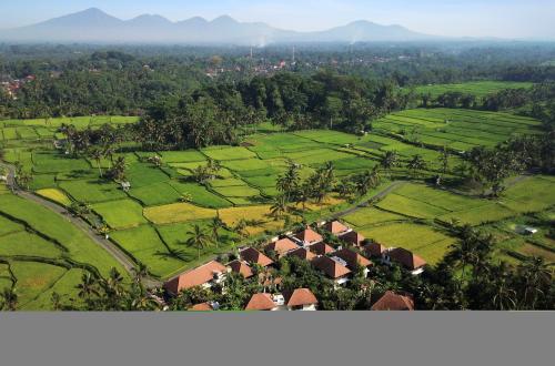 Bali Larang Event Lari tanpa Izin Buntut Kasus Komunitas WNA Diduga Rasis