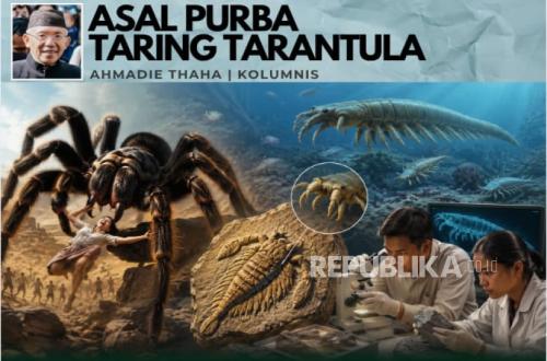 Asal Purba Taring Tarantula