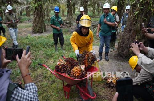 Bea Cukai Dukung Ekspor Produk Sawit Melalui Fasilitas Kawasan Berikat