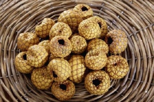 Lima Buah Langka Indonesia 'Rasa Surga' (5 -Habis) | Republika Online