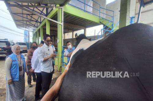 Dispernakan Bandung Barat Tempuh Sejumlah Langkah Atasi PMK pada Hewan Kurban