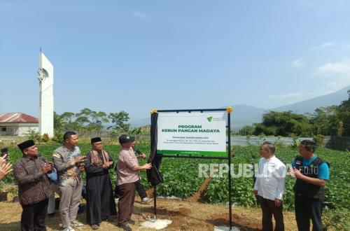 Produktifkan Lahan, Kebun Pangan Madaya Dorong Sumber Pangan Keluarga