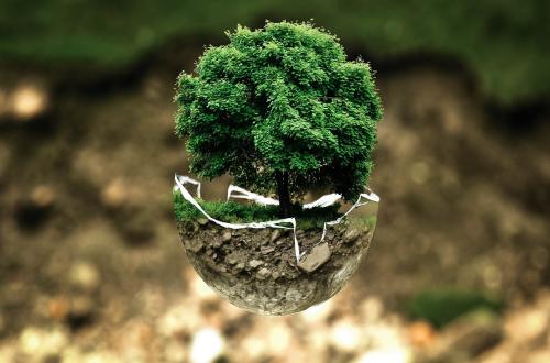 Dari Klaim Hijau Menuju Green Capability