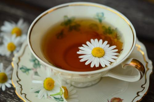 Cemas Saat Malam? Tenangkan dengan Segelas Teh Chamomile