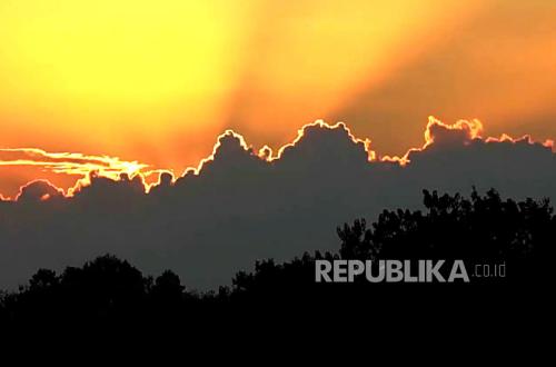 Peneliti Temukan 'Hutan Zaman Dinosaurus' di Geopark Ijen