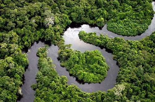 Rahasia 4.500 Tahun di Amazon: Menanam Pangan, Mengembalikan Hutan
