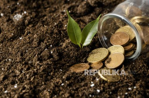 Dana Abadi, Disiplin Fiskal, dan Masa Depan Wakaf Indonesia: Inspirasi dari Harvard Endowment