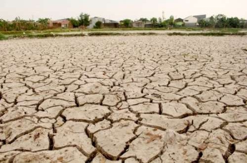 Daftar Daerah di Jateng yang Berpotensi Alami Kekeringan Akibat El Nino