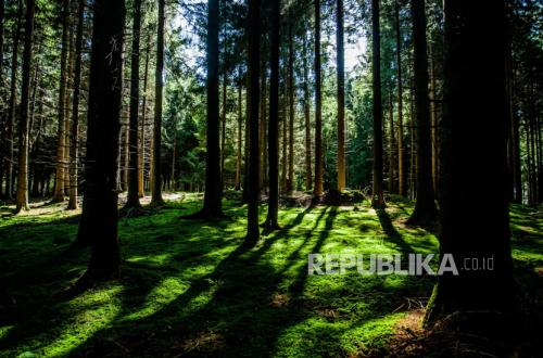 Isyarat Alquran tentang Pemicu Kerusakan Alam