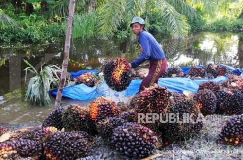 UMKM dan Koperasi Didorong Masuk Hilirisasi Sawit, Tak Lagi Terbatas Minyak Goreng