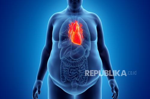 Studi: Inflamasi Masih Tingkatkan Risiko Serangan Jantung Meski Pasien Sudah Berobat