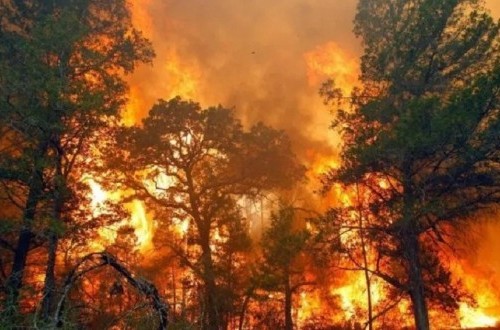 Breaking News, Alun-Alun Suryakencana Gunung Gede Kebakaran