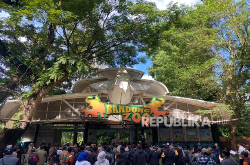 Izin YMT Dicabut, Pemerintah Ambil Alih Aset dan Satwa di Kebun Binatang Bandung