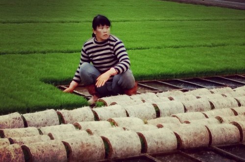 Problematika Ketahanan Pangan dan Jalan Kolaborasi Indonesia-Taiwan