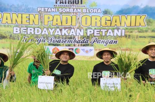Ansor Panen Padi Organik dan Tanam 3.000 Pohon Kelapa di Blora