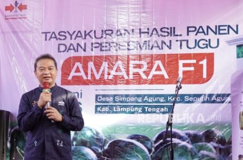 Lampung Kian Mengukuhkan Diri sebagai Sentra Semangka Nasional