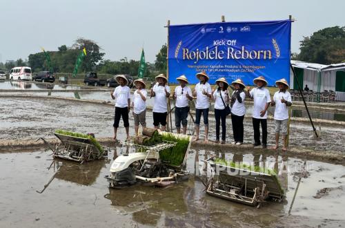 MPM PP Muhammadiyah Kick Off 'Rojolele Reborn', Hidupkan Kembali Beras Legendaris Klaten