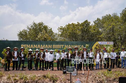 Perkuat Ketahanan Pangan dan Ekonomi Desa, Pertamina Gelar Panen Raya Nangka di Gunungkidul