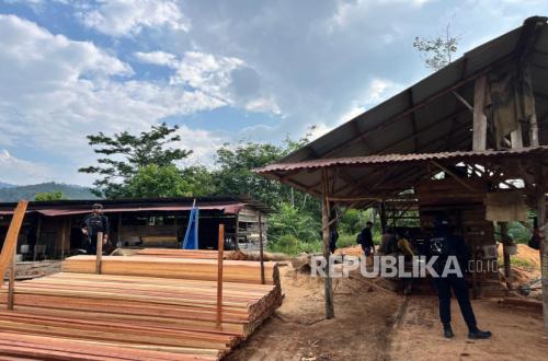 Polda Riau Perketat Penindakan Illegal Logging demi Jaga Kelestarian Hutan