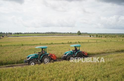 Cetak Sawah Rakyat dan Oplah Tingkatkan Produksi dan Stabilkan Harga Beras di Merauke