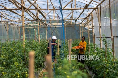 Garitan Kalongliud, Model Pertanian Sirkular Terpadu ANTAM untuk Ketahanan Pangan