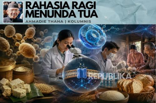 Rahasia Ragi Menunda Tua