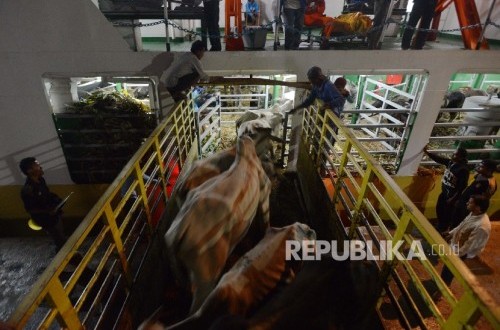 Pengangkutan Sapi NTT Dinilai tak Efisien | Republika Online