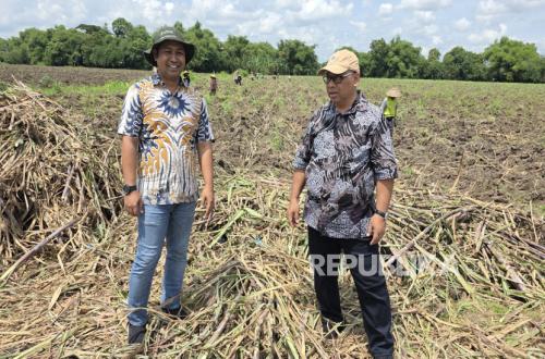 Berkat Sinergi Petani dan Penyuluh, Bongkar Ratoon Tebu di Putukrejo Berjalan Sukses