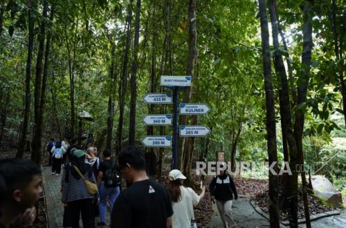 Menikmati Pesona di Bukit Peramun Hingga Nikmatnya Makan Bedulang di Desa Terong
