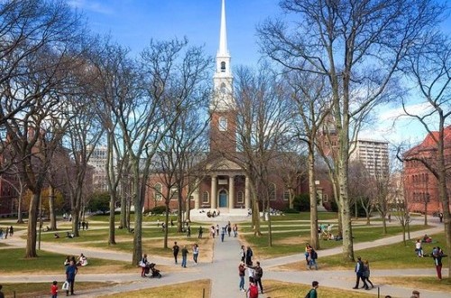 Bukan Sekadar Politik, Ini Alasan Rahasia di Balik Pentagon Putus Hubungan dengan Kampus Harvard