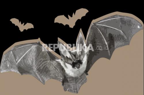 Kasus Nipah di India Jadi Alarm, Masyarakat Diminta Kembali Terapkan PHBS