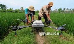 In Picture: Petani di Banyuwangi Manfaatkan Penggunaan Drone untuk Penyemprotan Sawah