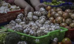 Mendag Minta Pengusaha Segera Impor Bawang Putih