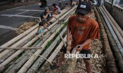 In Picture: Pedagang Batang Pohon Pinang Kebanjiran Order Jelang HUT RI