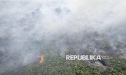 Kementerian Kehutanan Segel 10 Korporasi Terkait Kebakaran Hutan