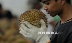 China Siap Pasarkan Durian Beku Indonesia, Batantin: Rumah Kemas Harus Sesuai Standar