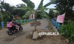 In Picture: Protes Jalan Rusak, Warga Klaten Tanam Pohon Pisang di Jalan