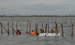 KKP tak Mau Gegabah Bongkar Pagar Laut karena Barang Bukti, Nelayan: Kemarin ke Mana Aja?