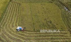 Pemerintah Gelontorkan Dana Rp 39 Triliun, Bulog Harus Serap Gabah Sesuai HPP