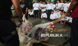 In Picture: Antusiasme Peserta Ikuti Bimtek Juru Sembelih Halal Hewan Qurban